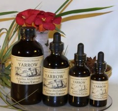 YARROW Extract ~ Cold Flu Muscle Nerve Toothache Organic Folk Remedy Tincture ~