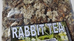 Rabbit Tea,sweet everlasting,old field balsam Pseudognaphalium obtusifolium 3oz