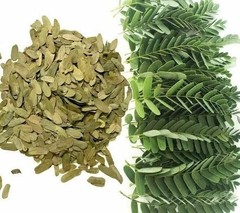 80g Dried Tamarind Organic Leaves 100% Pure Natural Free Shipping From Sri Lanka