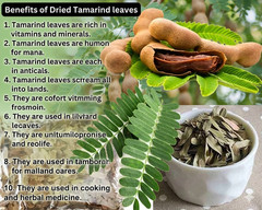 80g Dried Tamarind Organic Leaves 100% Pure Natural Free Shipping From Sri Lanka