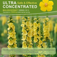 180ML Mullein Leaf Extract Drops For Lung Cleanse Health Drops
