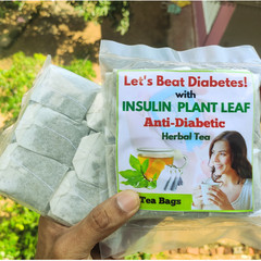 Insulin Plant Leaf Diabetic Herbal Tea Bags Organic Costus Igneus Leaves Powder