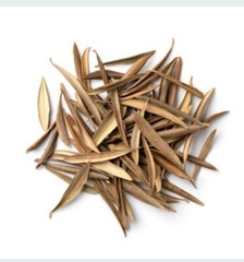 Olive Leaf Whole/Powder | Pure Natural Herb | Immune & Heart Support 1/4/ 8oz