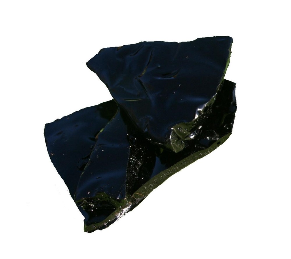 Black Alder (Alnus glutinosa) 1:100 potency resin extract