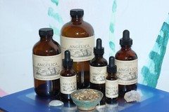 ANGELICA Tincture Analgesic Anxiety Move Congestion Phlegm ORGANIC FOLK Remedy