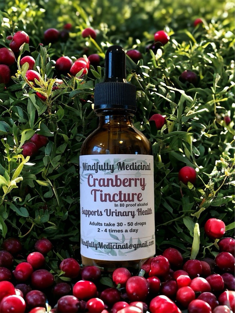 Organic Cranberry Tincture ~ Urinary & Kidney Health