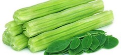 1000 Organic Moringa Seebs | Moringa Oleifera | Dried, Non GMO, Edible,Planting