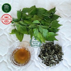 Dried Mexican Dream Herb Calea Zacatechichi 100% Organic Lucid Ceylon Herbal Tea
