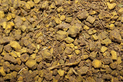 Goldenseal Root – Cut and Sifted Root, Appalachian Mountains Wild Harvest