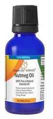 Nutmeg Essential Oil Jaifal 100% Pure & Natural