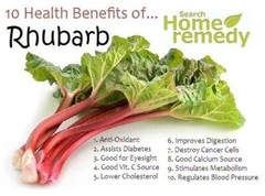 Rhubarb Tincture- Clears Infections, Soothes Bowels, Expels Parasites from body.