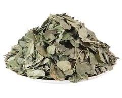 Moringa Leaves – Moringa Leaf – Sehjan Patta – Drumstick Leaves