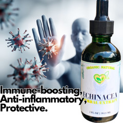 Echinacea Purpurea Non-Alcohol Extract Organic Liquid Drops 2 oz Immune Tincture
