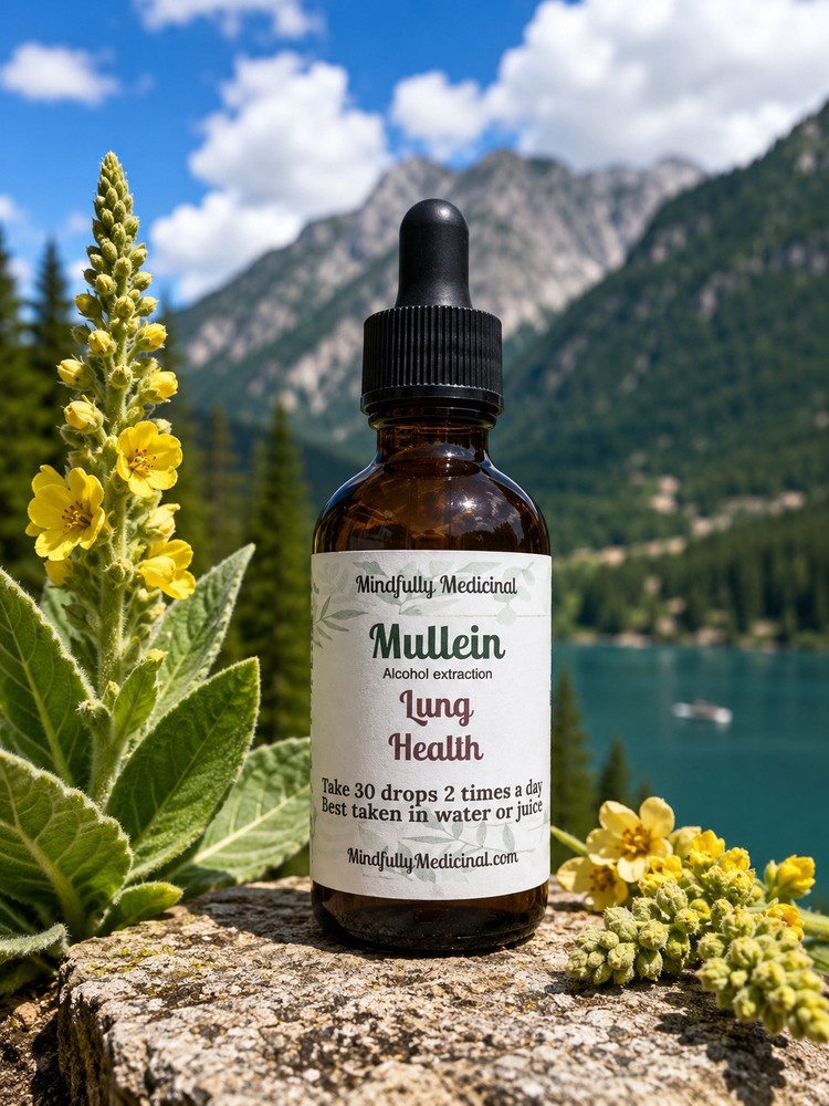 Organic Mullein Leaf Tincture ~ 2 oz Herbal Extract ~ Lung Health