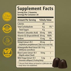 Pure Shilajit Gummies for Men & Women, Shilajit with Black Seed Oil, – 60Pcs