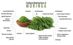Moringa Seeds for Planting | Non-GMO | Fast growing tree seeds
