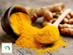 1lbs (16 OZs) Organic Turmeric Root Powder with certificate. FREE SHIPPING!!