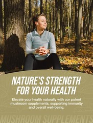 BulkSupplements Chaga Mushroom Extract 360 Capsules – 1000mg Per Serving