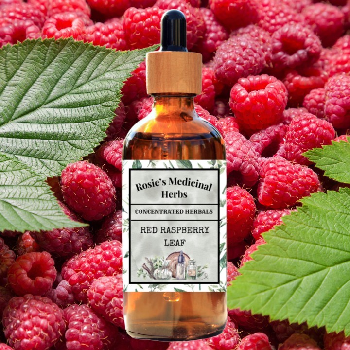 RED RASPBERRY LEAF | Organic | Women | Immune System | Pregnancy | Digest | Womb