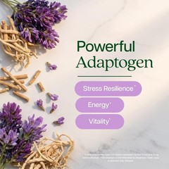 Astragalus Root Extract Capsules 20:1 Immune Support 250 Count