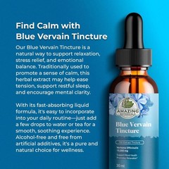 Blue Vervain Herbal Extract Tincture – Liquid Supplement for Mood & Immune Suppo