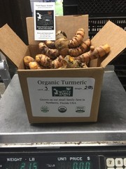 1-15lbs fresh turmeric root