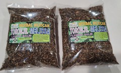 Toronjil, Melisa, Melissa officinalis, lemon balm herb, balm, common balm, balm