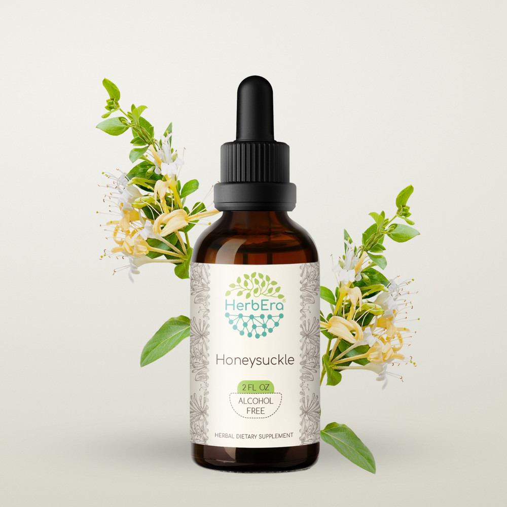 HerbEra Honeysuckle Alcohol-FREE Tincture Organic (Lonicera japonica)