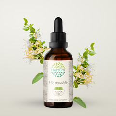 HerbEra Honeysuckle Alcohol-FREE Tincture Organic (Lonicera japonica)