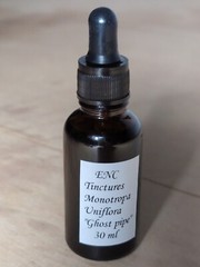 Ghost Pipe Tincture 30 mL All Natural Tinctured immediately after picking!