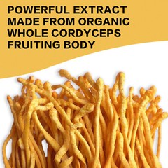 120pcs Cordyceps 1000mg – Mushroom Extract-Boost Energy & Stamina,Immune Support