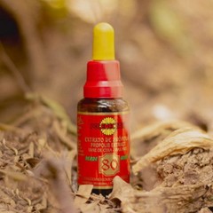 POLENECTAR Propolis Extract Brazilian Green Wax Free 80 Bee Case 24x 30 mL
