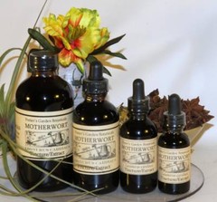 MOTHERWORT circulation menopause mood nerves Traditional Folk Remedy Tincture ~