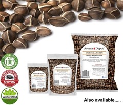 Moringa KERNELS 2 oz. Seeds oleifera Shelled 250 Semilla De Moringa Wholesale