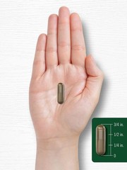 Banaba Leaf Extract Capsules 200 Ct Blood Sugar Support Corosolic Acid Non-GMO