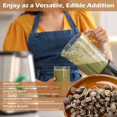 800 Moringa Oleifera Seeds 8 oz. WINGLESS Fresh Organic Semillas de Moringa Tree