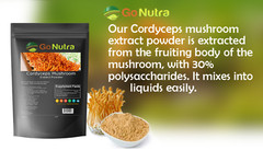 Cordyceps Mushroom Powder 8oz