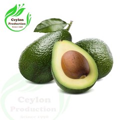 Organic Avocado Fruit Powder Ground Dried Natural Wellness Superfood pure