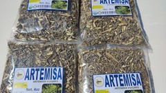 4oz Artemisa hierba Te ,artemisia vulgaris, Mugwort, wormwood, sagewort 113g Tea