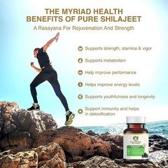 Maharishi Ayurveda Shilajeet Rasayana 500 MG 60 Tablets (Pack of 2)