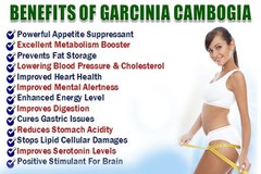 Fat Burner Drink Mix – Garcinia Extract 60% 1300mg – Garcinia Burn Capsules 2B