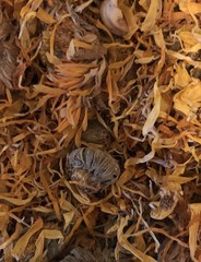 Calendula Flowers. Fresh smell. Natural. 1 LB