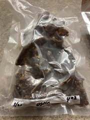 4oz -Osha Root- Ligusticum Porteri-Bear Root
