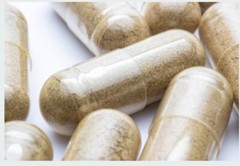 Mullein Leaf Capsules 60ct | Vegan Organic | Natural Lung & Respiratory Support