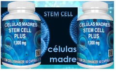 2 NEW STEM CELL ENHANCER, NEW CELULAS MADRES, MOTHER cell Support MADRES