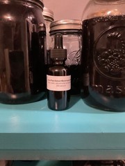 Ghost Pipe (Monotropa Uniflora) tincture 16 ounces never any dye