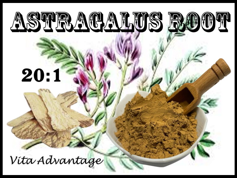 ORGANIC ASTRAGALUS ROOT HIGH POTENCY 20:1 EXTRACT POWDER 50g/100g