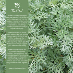 White Willow Bark Tincture | Wild-Crafted | Salix Alba | Wellness