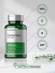 Cordyceps Sinensis Capsules 2000mg | 200 Ct | Mushroom Supplement | by Horbaach