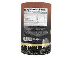 Better Alt Himilayan Shilajit Caramel On-The-Go Honey Sticks Exp 03/27